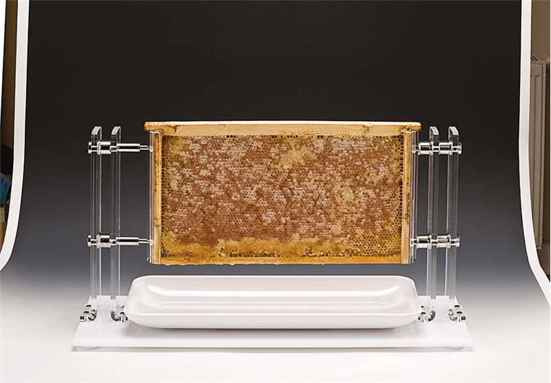 Acrylic Honeycomb Honey Stand