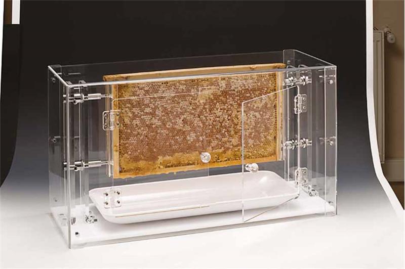 Acrylic Honeycomb Honey Cabinet